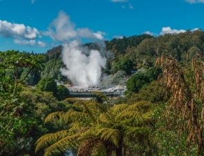 Geysers and Bush